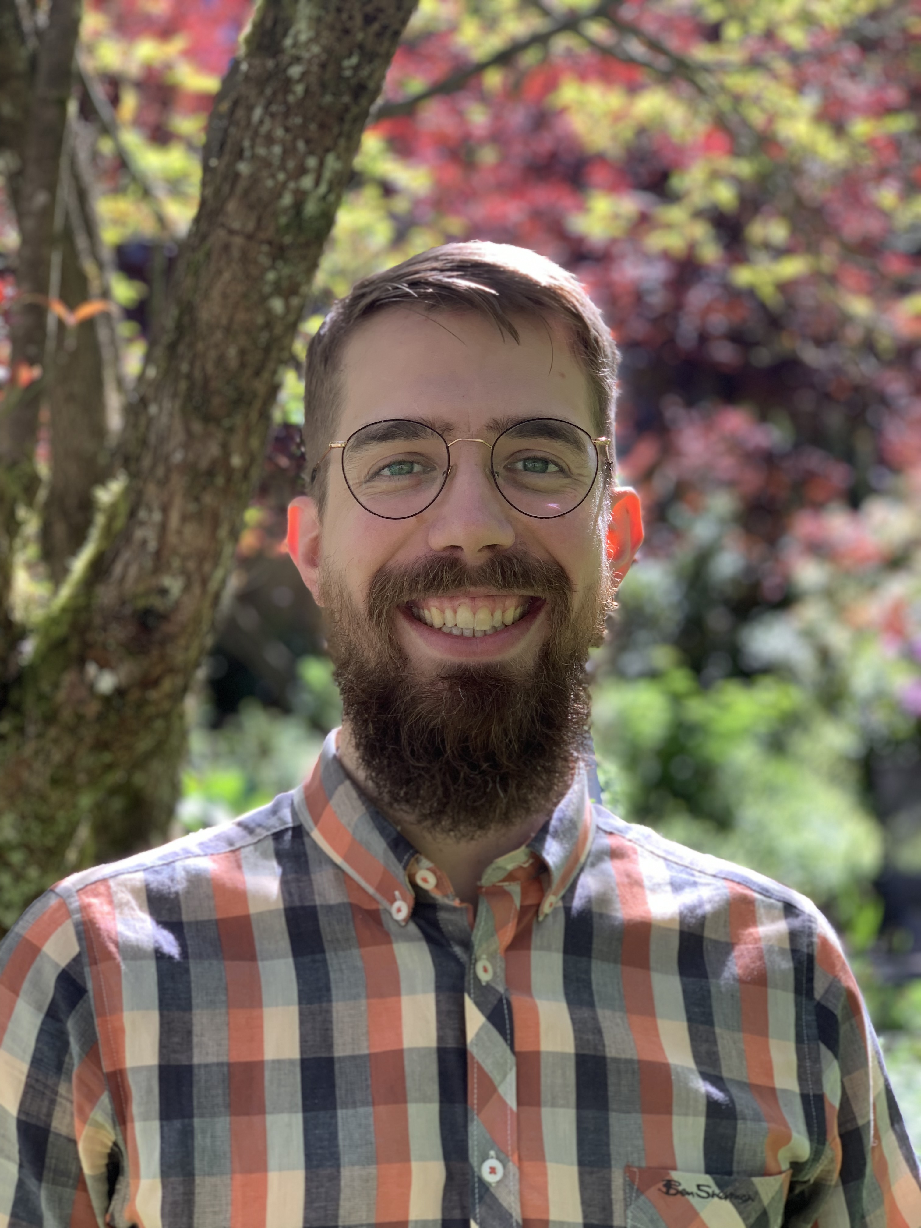 Insight – BOOK A SESSION bottom border